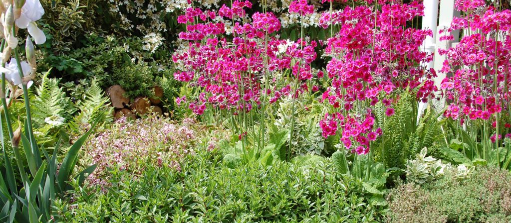 Rijswijk tuinonderhoud