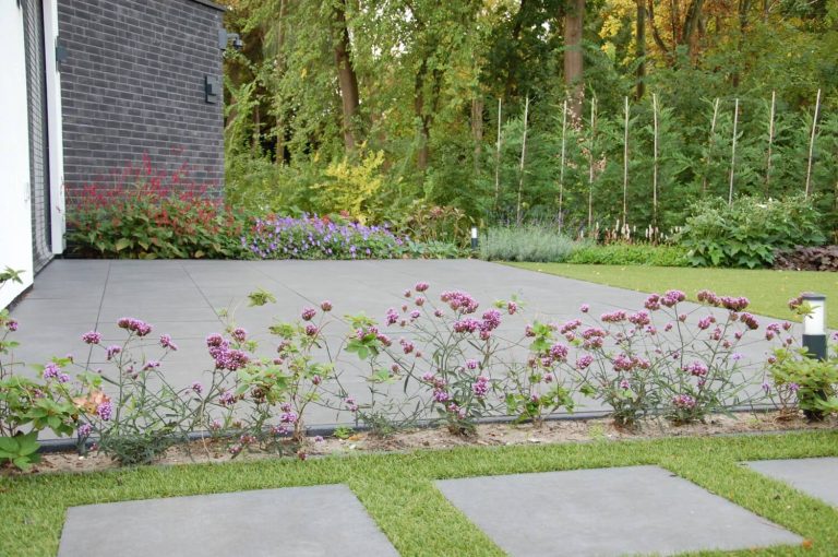 Tuinonderhoud den haag