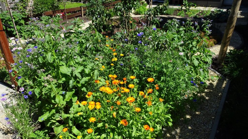 Tuinonderhoud in Rijswijk